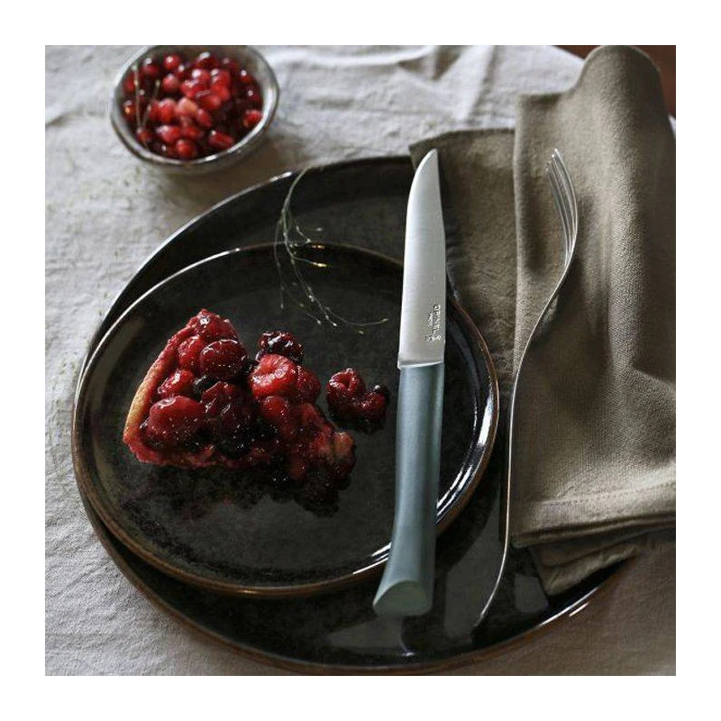 BON APPETIT PLUS Coffret De 4 Couteaux De Table Microdentée Steak OPINEL Glam 4 Couleurs 4 BON APPETIT PLUS Coffret De 4 Couteaux De Table Microdentée Steak OPINEL Glam 4 Couleurs – Image 2