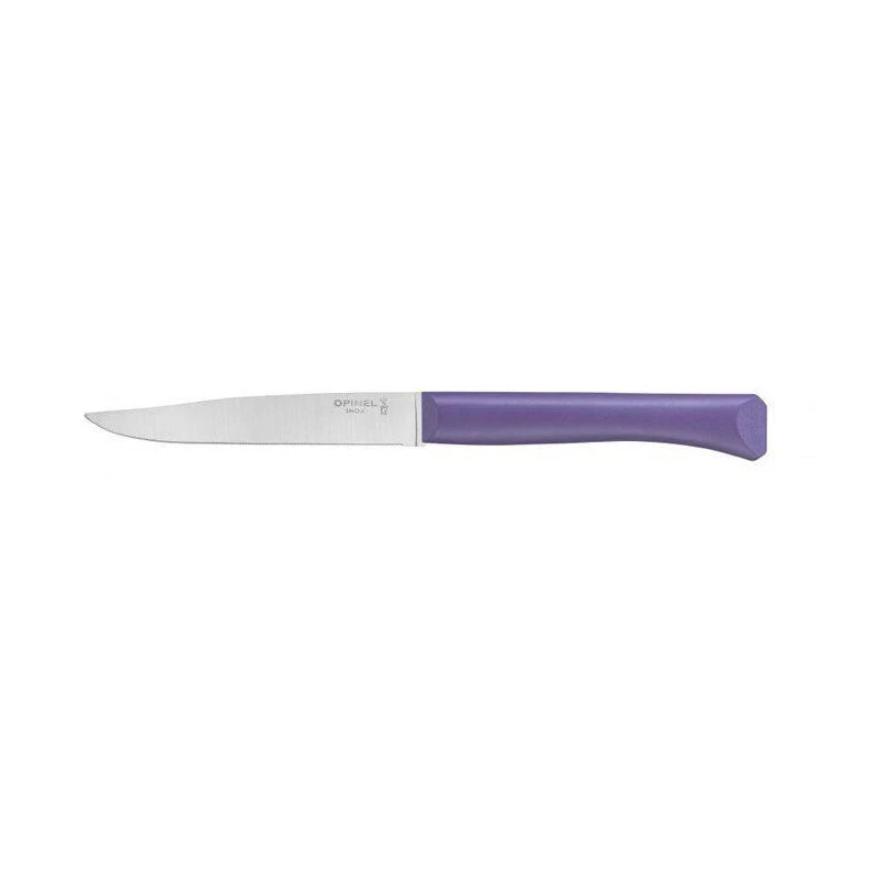 BON APPETIT PLUS Coffret De 4 Couteaux De Table Microdentée Steak OPINEL Glam 4 Couleurs 8 BON APPETIT PLUS Coffret De 4 Couteaux De Table Microdentée Steak OPINEL Glam 4 Couleurs – Image 6