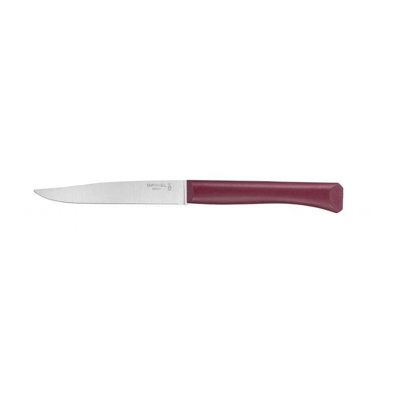 BON APPETIT PLUS Coffret De 4 Couteaux De Table Microdentée Steak OPINEL Glam 4 Couleurs 12 BON APPETIT PLUS Coffret De 4 Couteaux De Table Microdentée Steak OPINEL Glam 4 Couleurs – Image 10