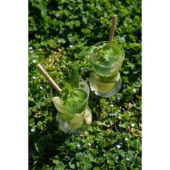 MOJO Coffret Meilleurs Verres à Mojito Cookut -Élégance Bar Soldes mojo coffret meilleurs verres a mojito cookut p 5