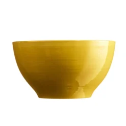 Saladier En Céramique Emile Henry Jaune Provence D21 Cm -Élégance Bar Soldes saladier 21 cm jaune provence 1